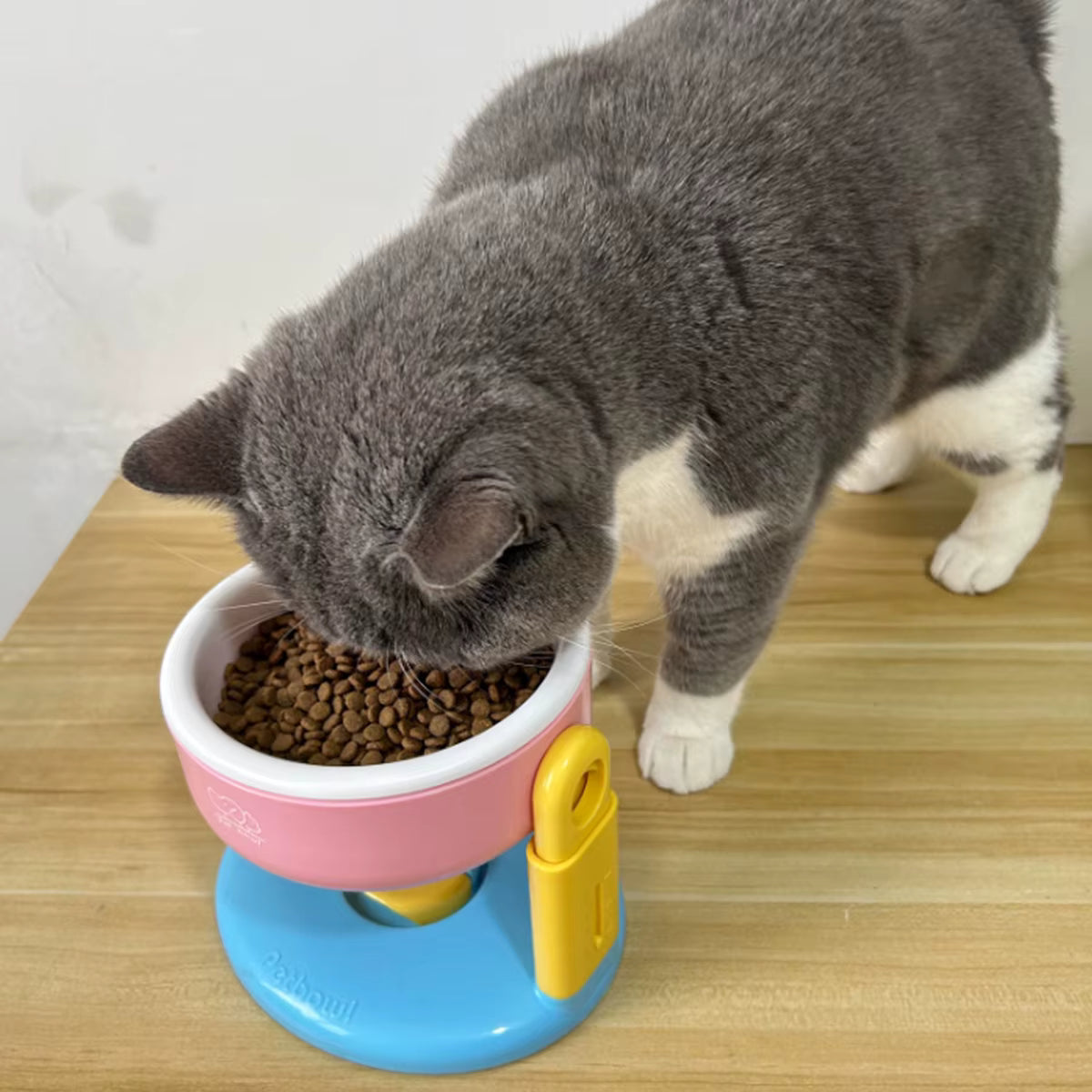 Pet Suction Cup Bowl
